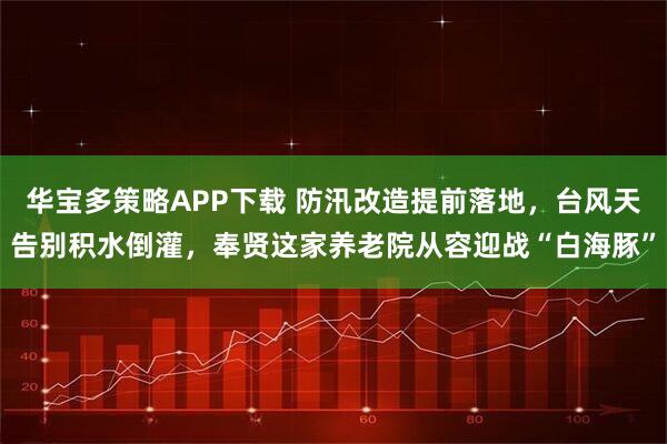 华宝多策略APP下载 防汛改造提前落地，台风天告别积水倒灌，奉贤这家养老院从容迎战“白海豚”