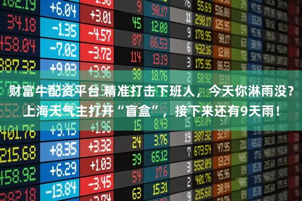 财富牛配资平台 精准打击下班人，今天你淋雨没？上海天气主打开“盲盒”，接下来还有9天雨！